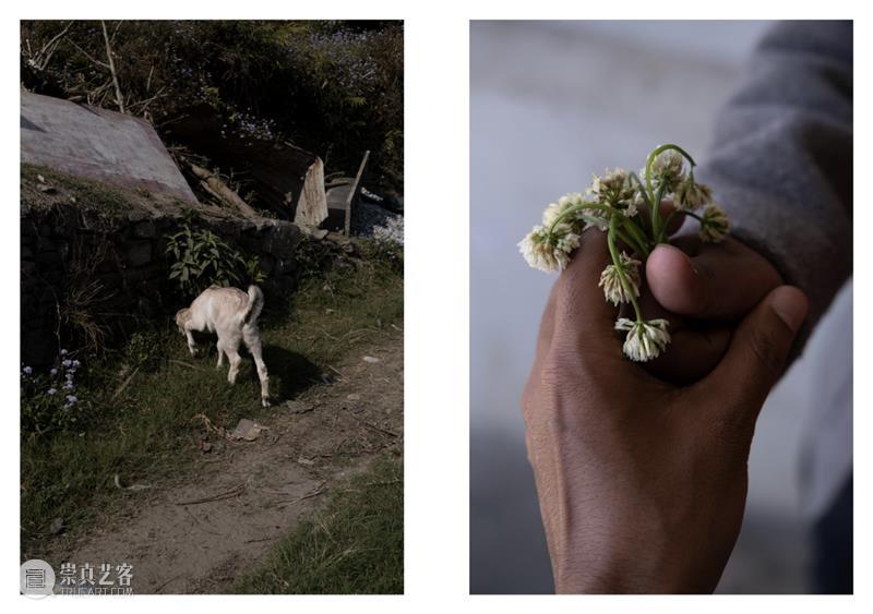 从样书奖到图书奖，今年阿尔勒国际摄影节上有哪些好书？ 博文精选 PHOTOFAIRS 崇真艺客