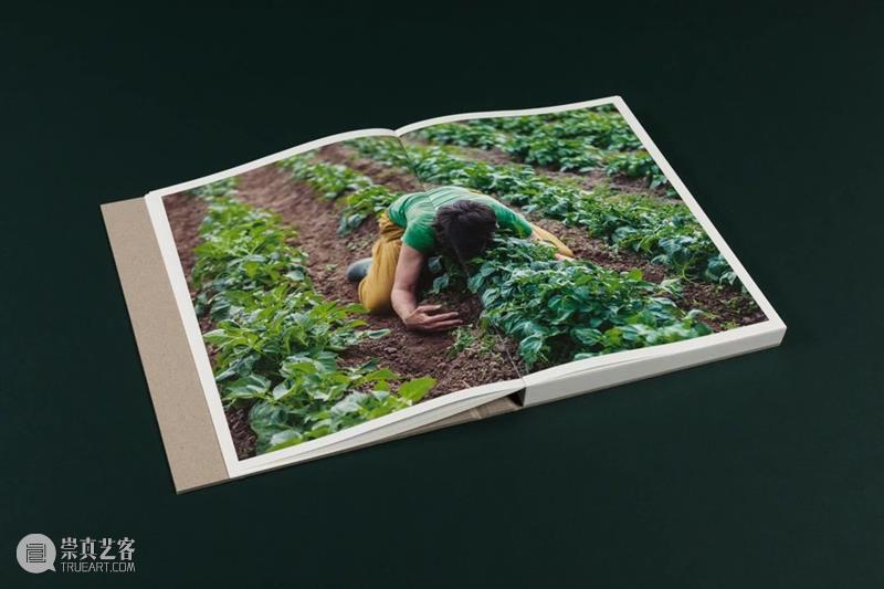 从样书奖到图书奖，今年阿尔勒国际摄影节上有哪些好书？ 博文精选 PHOTOFAIRS 崇真艺客