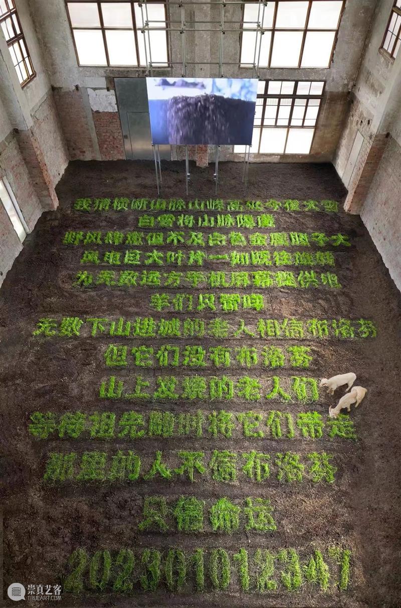 开幕现场/奢楊思博个人项目《没有一滴眼泪会错过大海》及作品介绍 视频资讯  崇真艺客