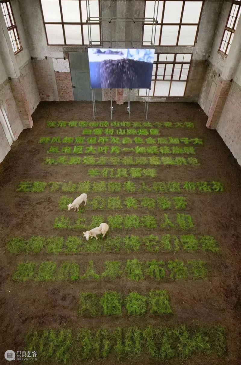开幕现场/奢楊思博个人项目《没有一滴眼泪会错过大海》及作品介绍 视频资讯  崇真艺客