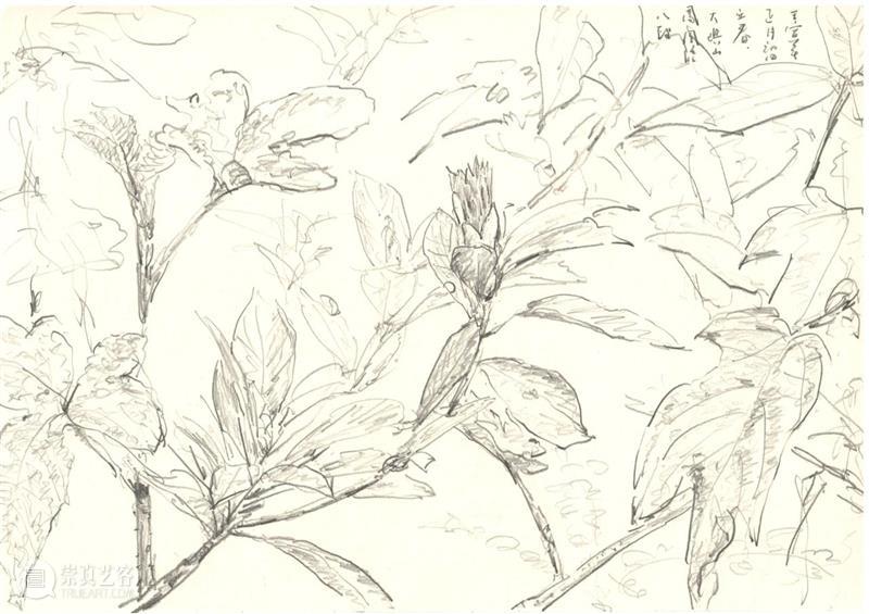 新展预告丨多米尼克·诺尔斯个展 | 7月18日(四)开幕 崇真艺客