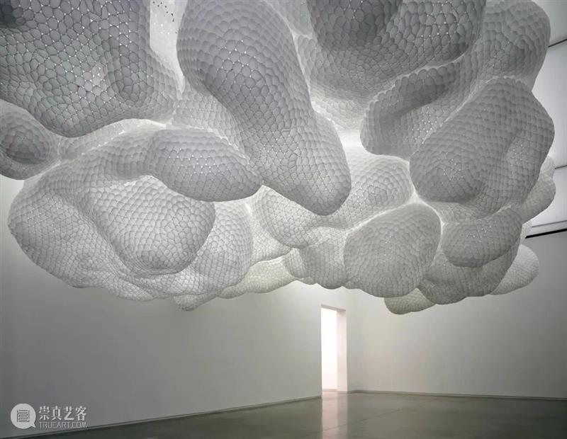 【IFA-艺术赏析】Tara Donovan | 自然生长的秩序 崇真艺客