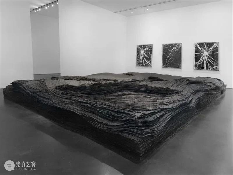 【IFA-艺术赏析】Tara Donovan | 自然生长的秩序 崇真艺客