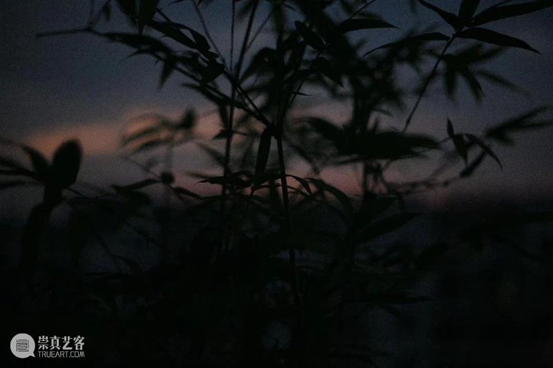 CYE × 单亚周 :记忆中的光 崇真艺客