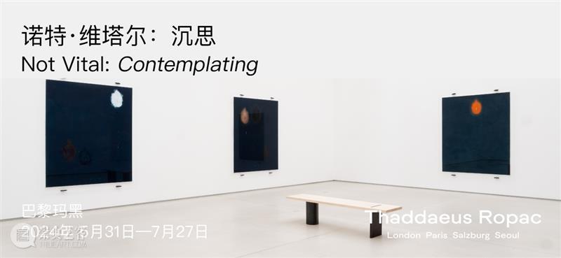 Ropac 巴黎玛黑展览|欧文·佩恩:美的边界 崇真艺客
