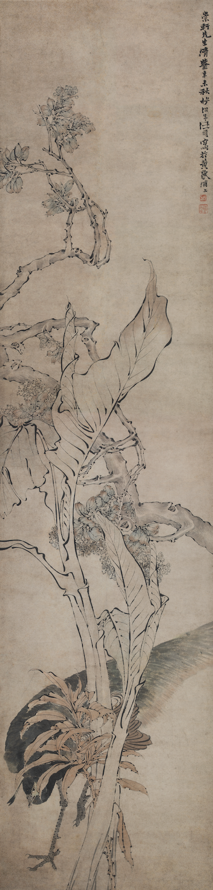 新展 | 萌生：从齐白石到黄永玉 崇真艺客