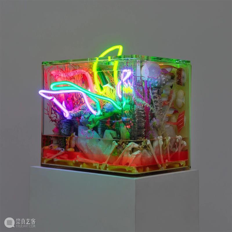 麦克斯·霍珀·施奈德中国首次机构个展,“创生奇想”将于UCCA沙丘呈现 崇真艺客