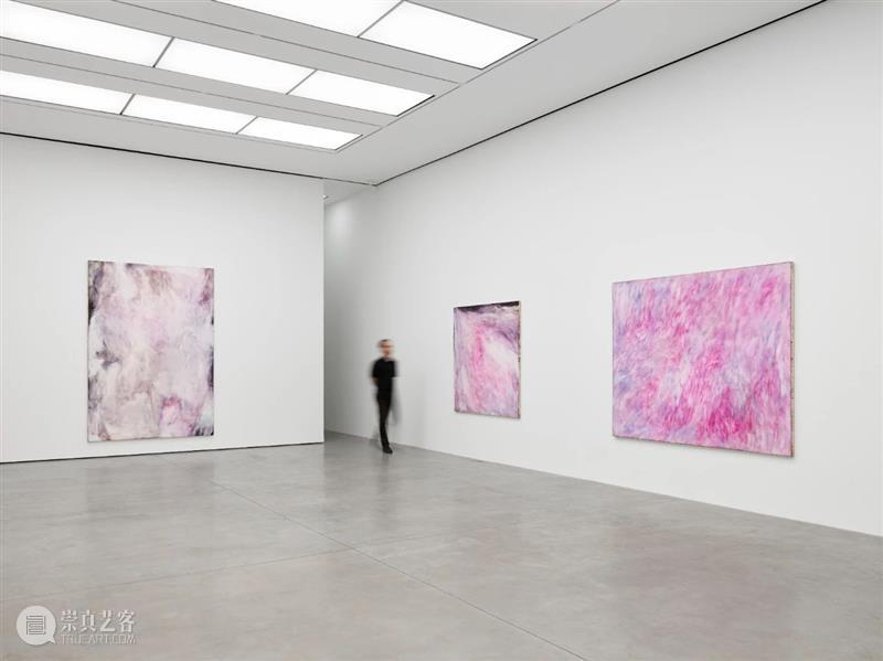 白立方纽约｜松本阳子（Yoko Matsumoto)个展Darkness Against Nature 崇真艺客