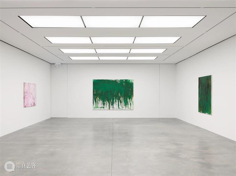 白立方纽约｜松本阳子（Yoko Matsumoto)个展Darkness Against Nature 崇真艺客