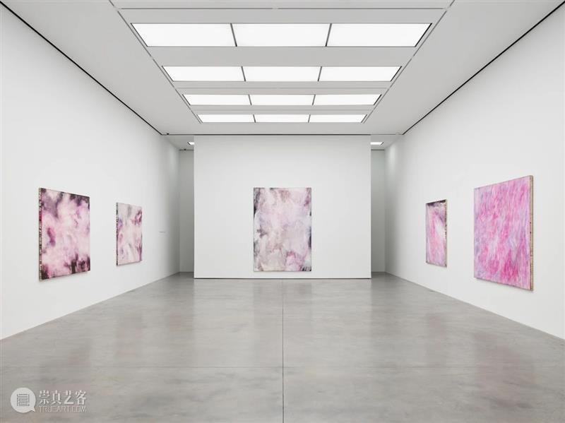 白立方纽约｜松本阳子（Yoko Matsumoto)个展Darkness Against Nature 崇真艺客