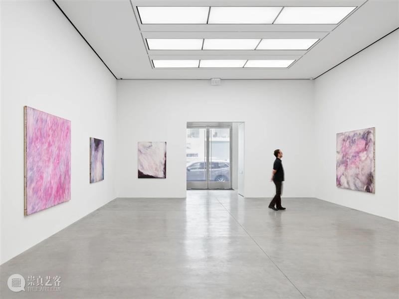 白立方纽约｜松本阳子（Yoko Matsumoto)个展Darkness Against Nature 崇真艺客