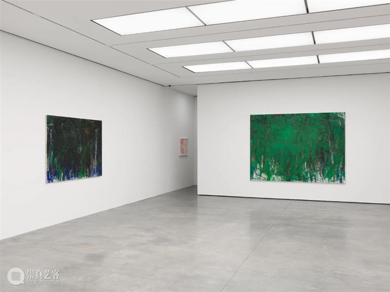 白立方纽约｜松本阳子（Yoko Matsumoto)个展Darkness Against Nature 崇真艺客