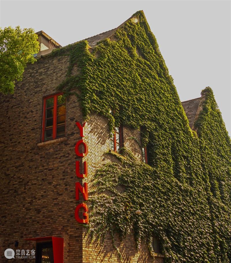 公开征集｜YOUNG美术馆：“现象”计划 崇真艺客