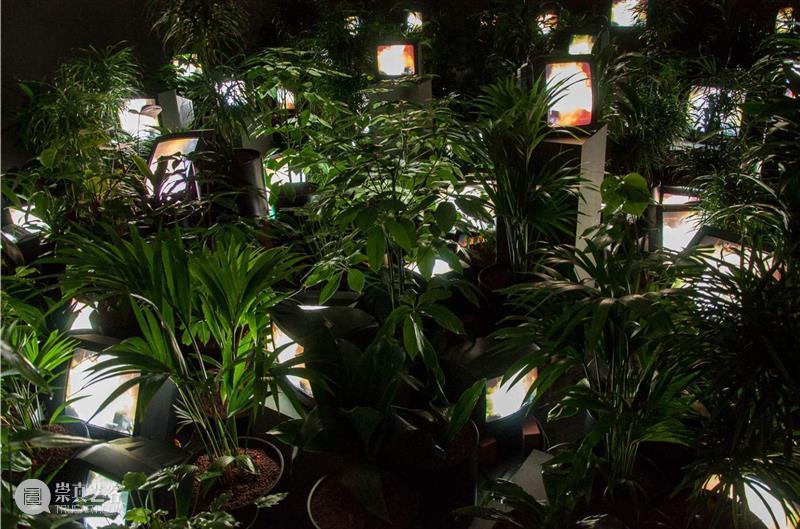 白南准_来自东方的激浪派预言家 | 国家美术·视界 崇真艺客