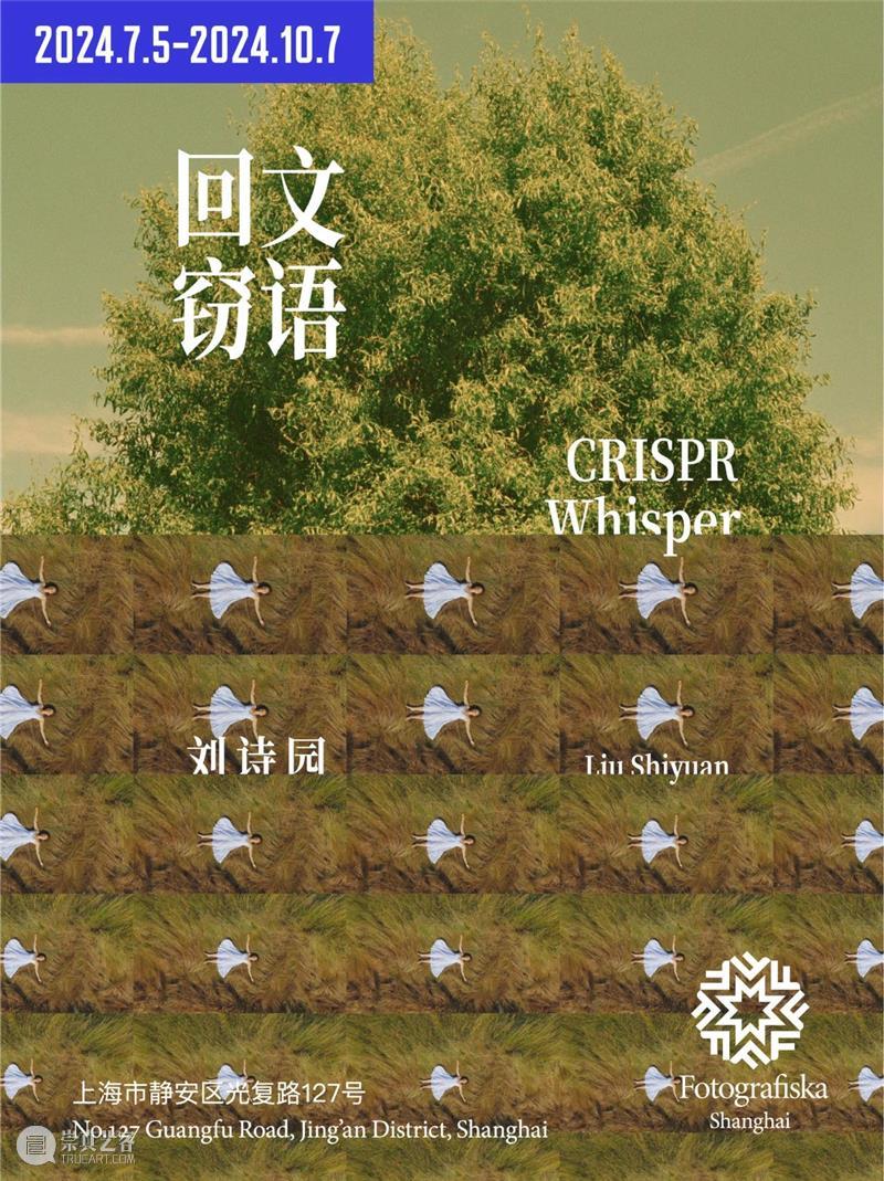 刘诗园:回文窃语|从图像重建中寻找全新视觉语义 崇真艺客