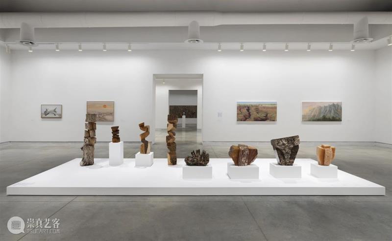 立木艺术家 | 金允信参展第60届威尼斯双年展,现场直击 崇真艺客