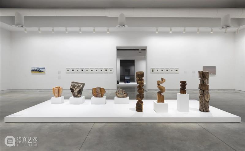 立木艺术家 | 金允信参展第60届威尼斯双年展,现场直击 崇真艺客