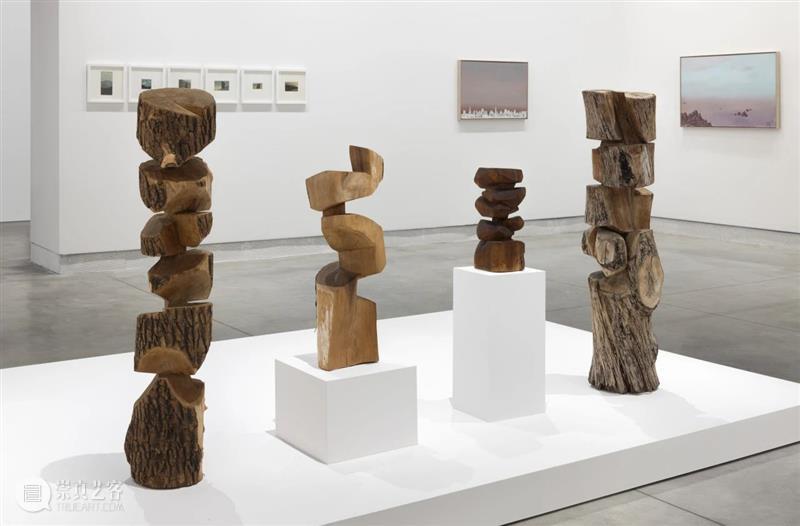 立木艺术家 | 金允信参展第60届威尼斯双年展,现场直击 崇真艺客
