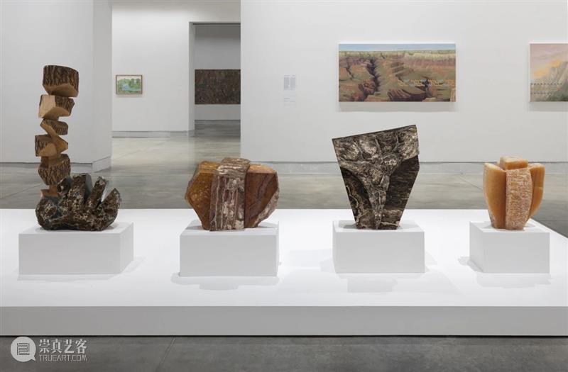 立木艺术家 | 金允信参展第60届威尼斯双年展,现场直击 崇真艺客