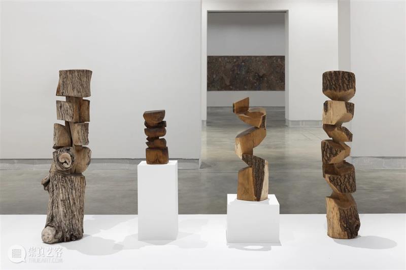 立木艺术家 | 金允信参展第60届威尼斯双年展,现场直击 崇真艺客