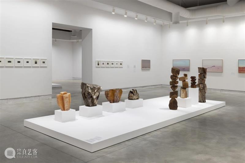 立木艺术家 | 金允信参展第60届威尼斯双年展,现场直击 崇真艺客