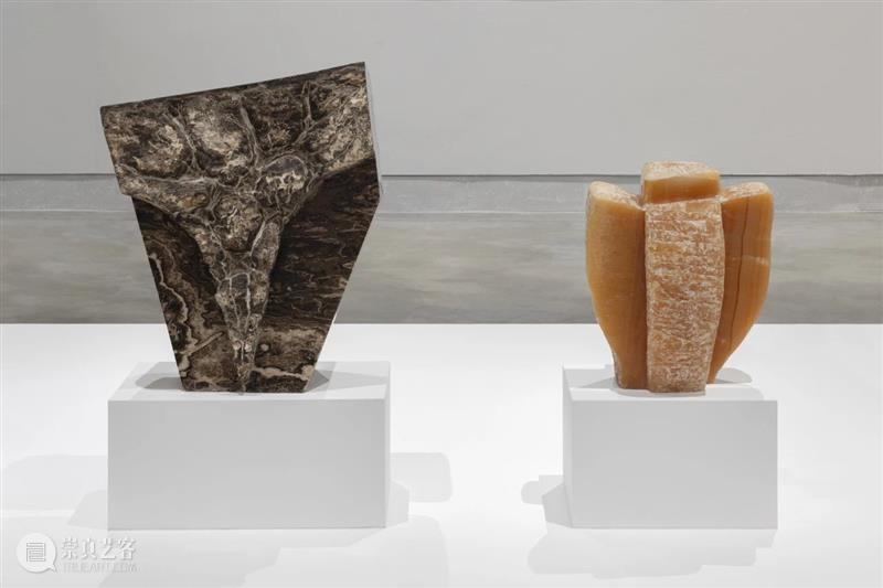 立木艺术家 | 金允信参展第60届威尼斯双年展,现场直击 崇真艺客