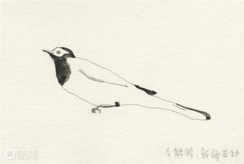 新展预告｜胡沁迪：咻咻 叽 咕 呖呖 卟噜卟噜  xiū xiū jī gū? lì lì? bǔ lū bǔ lū 崇真艺客