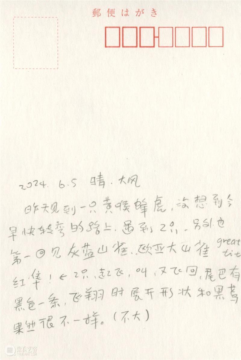 新展预告｜胡沁迪：咻咻 叽 咕 呖呖 卟噜卟噜  xiū xiū jī gū? lì lì? bǔ lū bǔ lū 崇真艺客