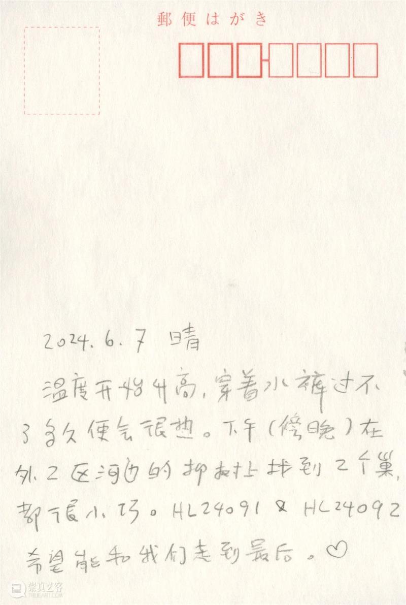 新展预告｜胡沁迪：咻咻 叽 咕 呖呖 卟噜卟噜  xiū xiū jī gū? lì lì? bǔ lū bǔ lū 崇真艺客