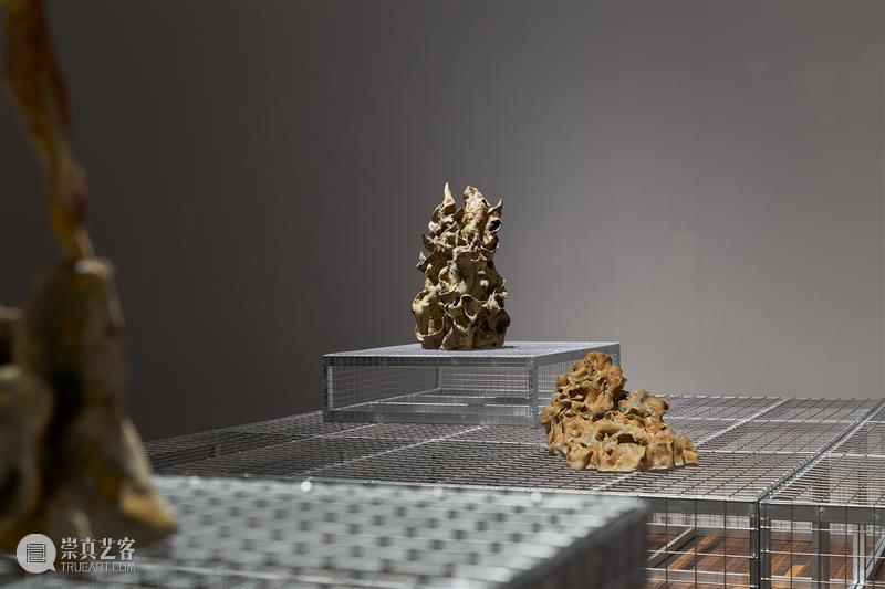 「松」展览｜不明之物：将观念隐于形式，回应真实与虚构。 崇真艺客