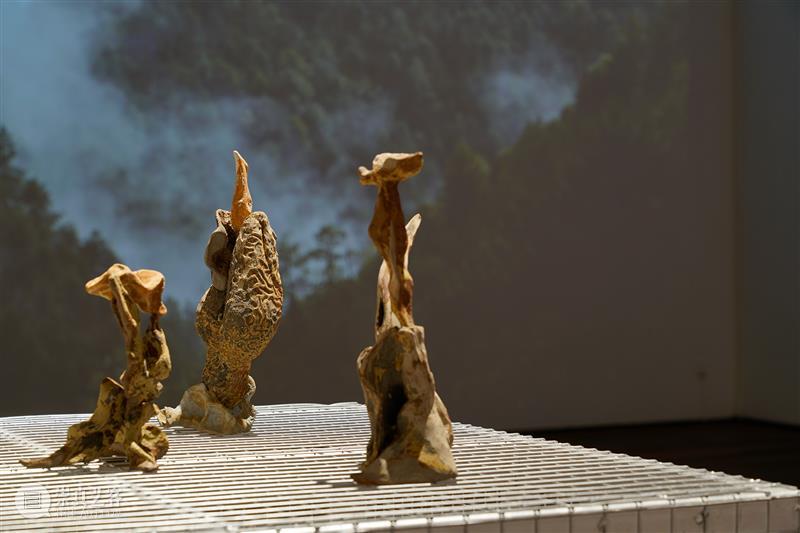 「松」展览｜不明之物：将观念隐于形式，回应真实与虚构。 崇真艺客