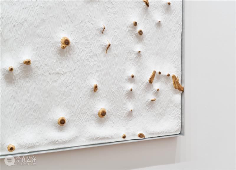 「松」展览｜不明之物：将观念隐于形式，回应真实与虚构。 崇真艺客