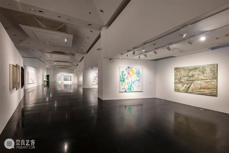 新展开幕 | “几何：赵大钧绘画实践的基本线索”画展隆重开幕 崇真艺客