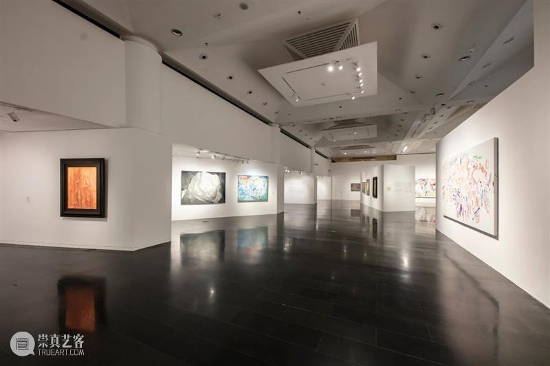 新展开幕 | “几何：赵大钧绘画实践的基本线索”画展隆重开幕 崇真艺客