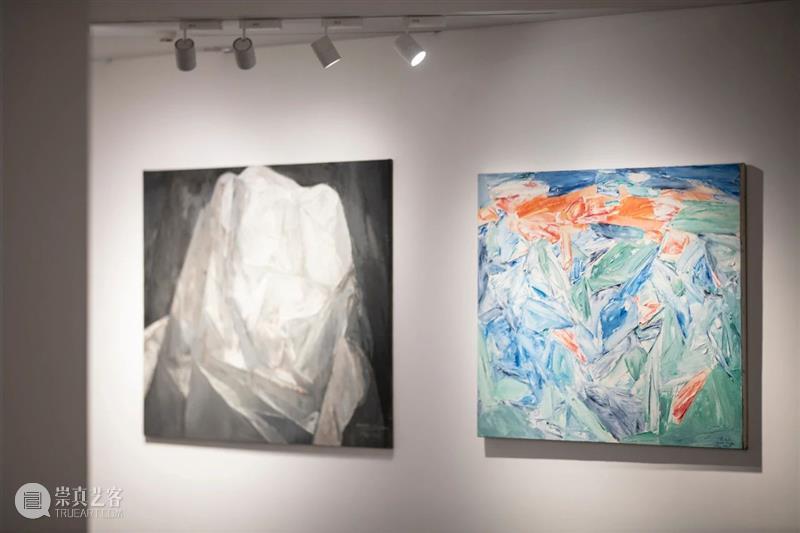 新展开幕 | “几何：赵大钧绘画实践的基本线索”画展隆重开幕 崇真艺客