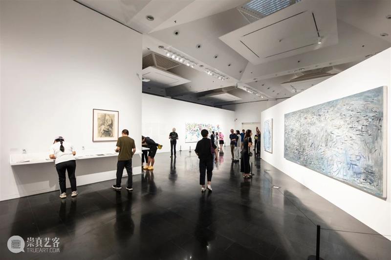 新展开幕 | “几何：赵大钧绘画实践的基本线索”画展隆重开幕 崇真艺客