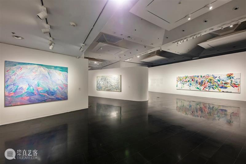 新展开幕 | “几何：赵大钧绘画实践的基本线索”画展隆重开幕 崇真艺客