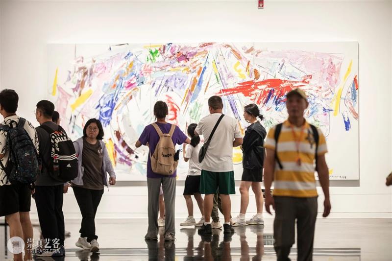 新展开幕 | “几何：赵大钧绘画实践的基本线索”画展隆重开幕 崇真艺客