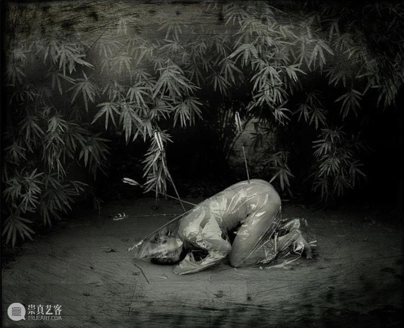HOW×适马|马良:「永无岛」艺术家讲座招募 崇真艺客