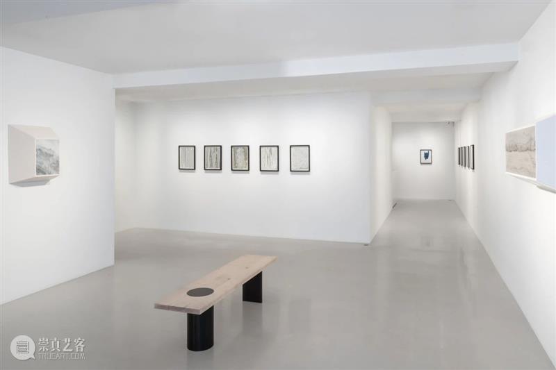 Ropac 线上展厅｜诺特·维塔尔：沉思 崇真艺客