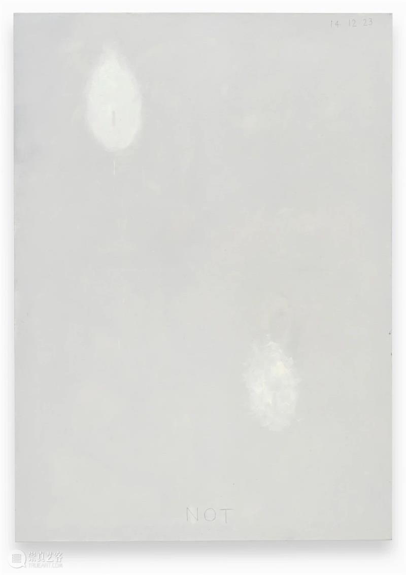 Ropac 线上展厅|诺特·维塔尔:沉思 崇真艺客