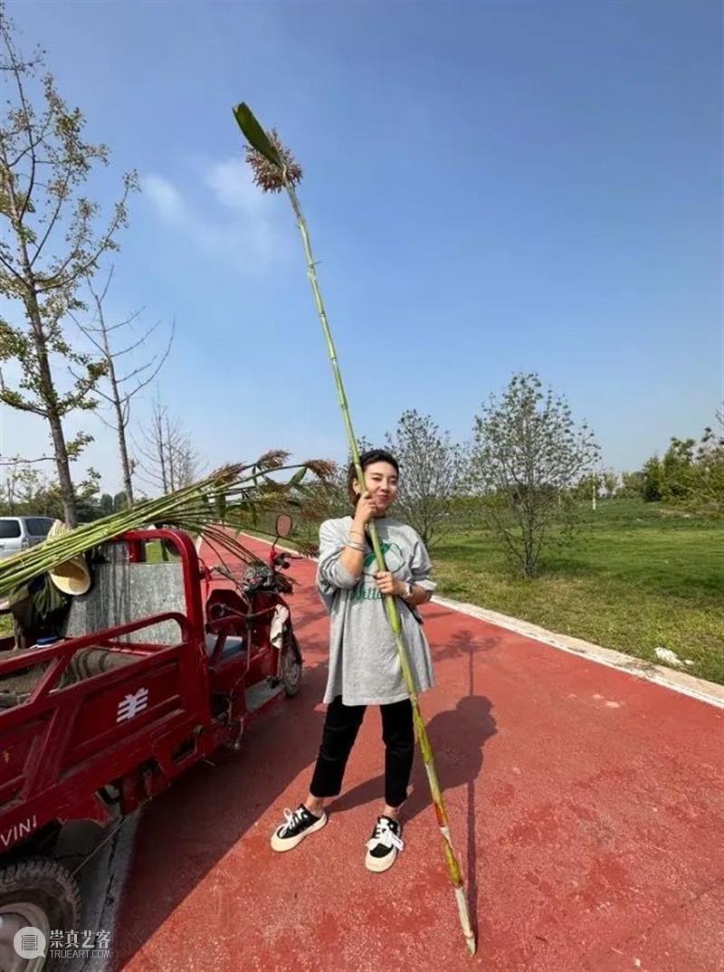 TAM讲座 | 三位女性,分享在城市和乡村工作的双重体验 崇真艺客