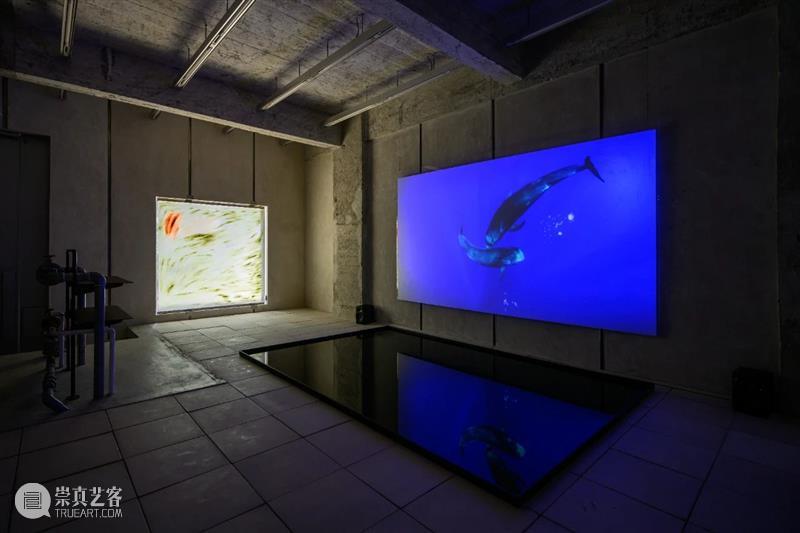 现场丨多米尼克·诺尔斯个展 | 马凌画廊适安街空间 崇真艺客