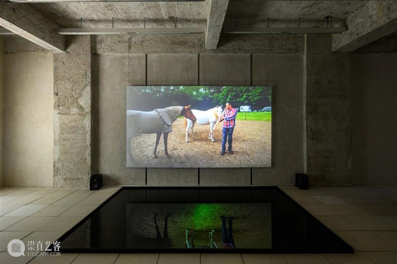 现场丨多米尼克·诺尔斯个展 | 马凌画廊适安街空间 崇真艺客