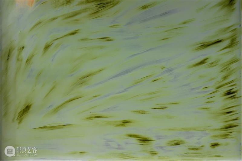 现场丨多米尼克·诺尔斯个展 | 马凌画廊适安街空间 崇真艺客