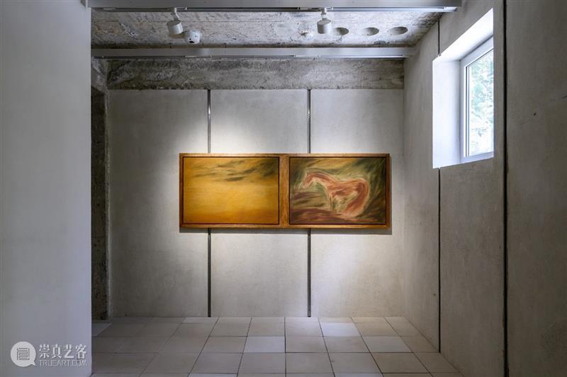 现场丨多米尼克·诺尔斯个展 | 马凌画廊适安街空间 崇真艺客