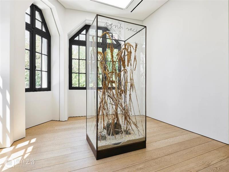 高古轩雅典｜Anselm Kiefer 绘画、雕塑及摄影新作 崇真艺客