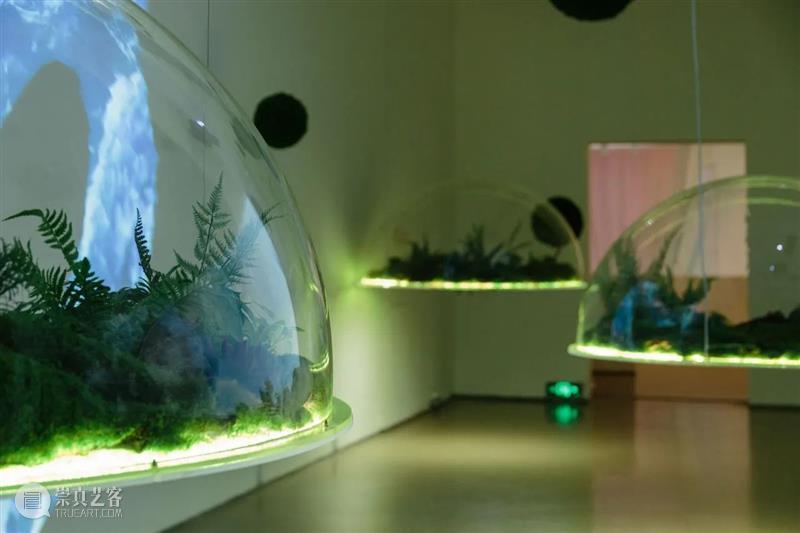 北京7月 | 17个不可错过的新媒体艺术展 崇真艺客