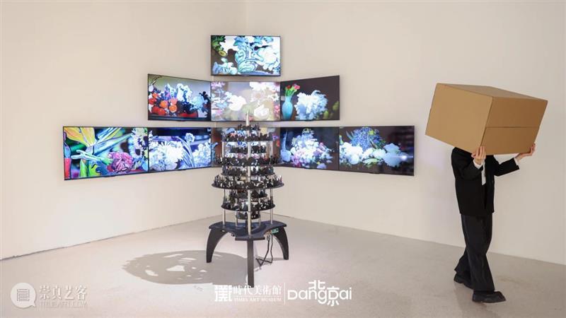 北京7月 | 17个不可错过的新媒体艺术展 崇真艺客
