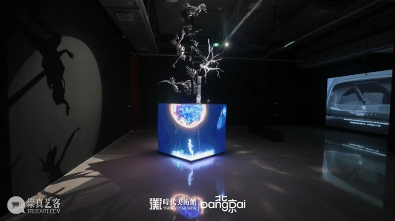 北京7月 | 17个不可错过的新媒体艺术展 崇真艺客